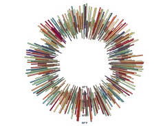 BarChart - radial-weather